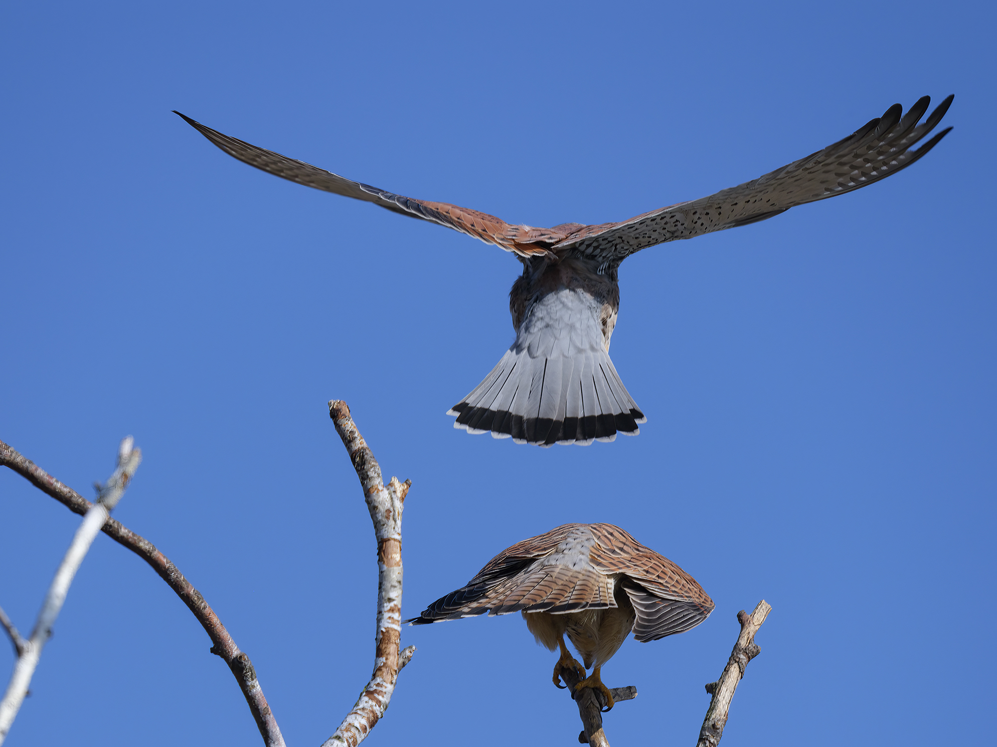 Kurz vor der "Landung"